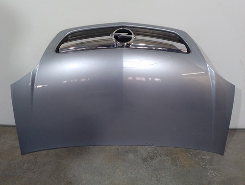1160011 motorhaube gris - motorhaube,