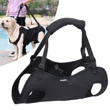 Hunde tragehilfe gehhilfe - hunde,