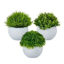 Kunstpflanzen Zimmerpflanzen