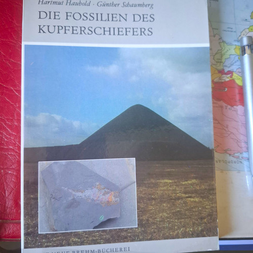 Fossilien kupferschiefer - fossilien,,