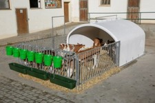 Calfhouse Premium XXL inkl