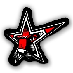 Starbulls logokissen - -,