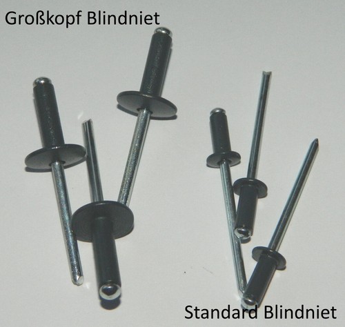 Großkopfnieten standard - großkopfnieten,
