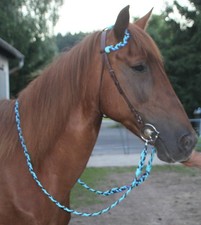 Unikat Leder EINOHRTRENSE