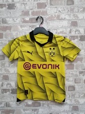 Borussia Dortmund 2023 2024