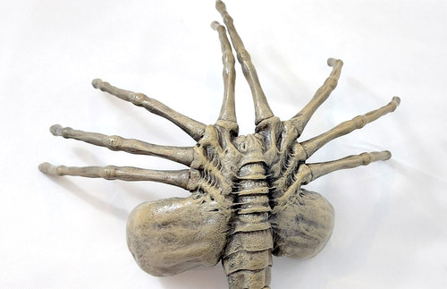 Facehugger aus alien 1 - facehugger,