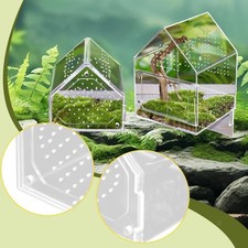 Gehege für Springspinnen