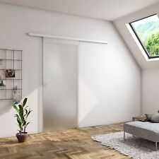 8mm ESG Schiebetür Glasschiebetür H.225cm Zimmertür Schwebetüren Milchglas