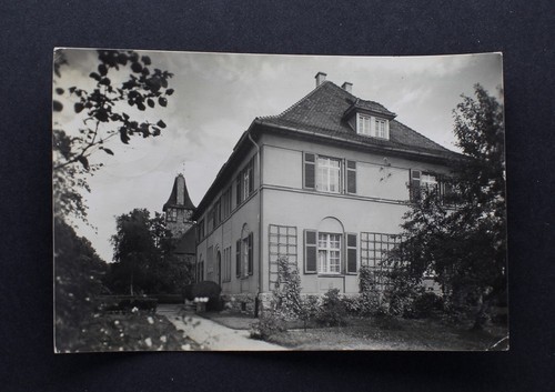 Echtfoto postkarte ev - ak,