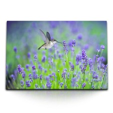 120x80cm wandbild auf leinwand - 120x80cm,