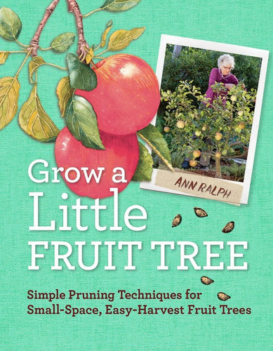 Grow little fruit tree - |, ann