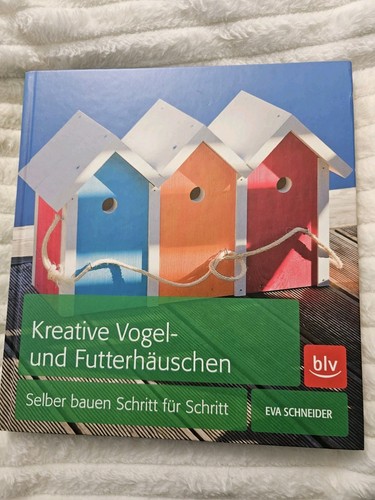 Kreative vogel und - kreative, vogel-