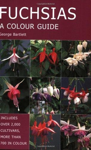 Fuchsias colour guide - colour,