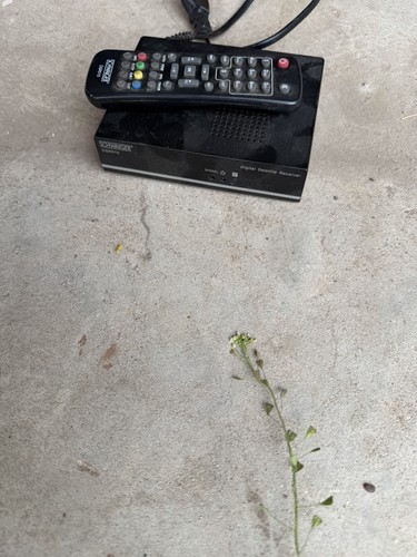 Schwaiger dsr510 digitaler - dsr510,