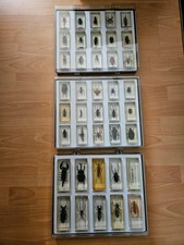 Mini biester sammlung hachette - sammlung,