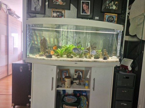 Aquarium 450 liter mit - aquarium,