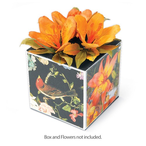 Sizzix stanze thinlits - sizzix,