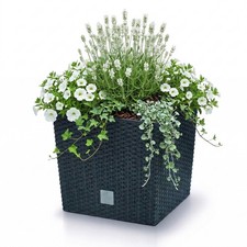 Prosperplast blumentopf - prosperplast,