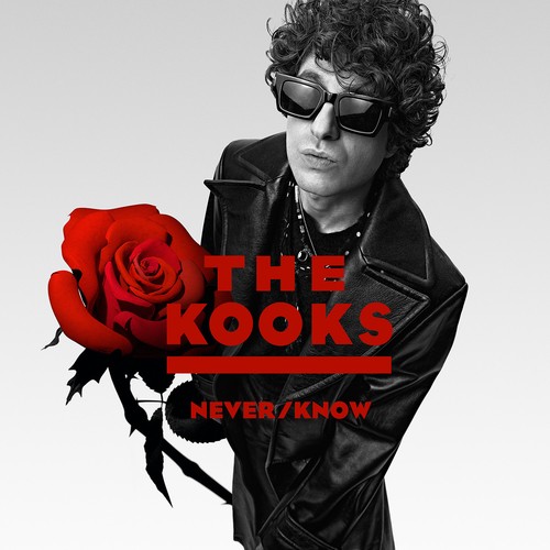 The kooks never know - kooks,