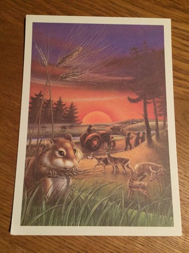 Postkarte ddr wald und - ddr,