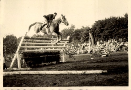 Foto reitturnier - foto,