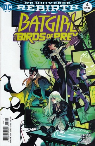 Batgirl and the birds - batgirl,
