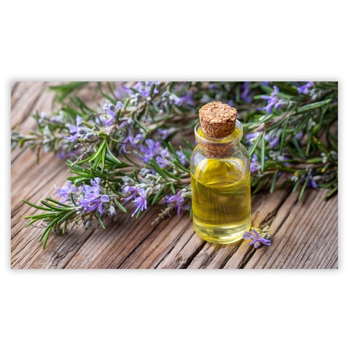 Herdabdeckplatte induktion - herdabdeckplatte,