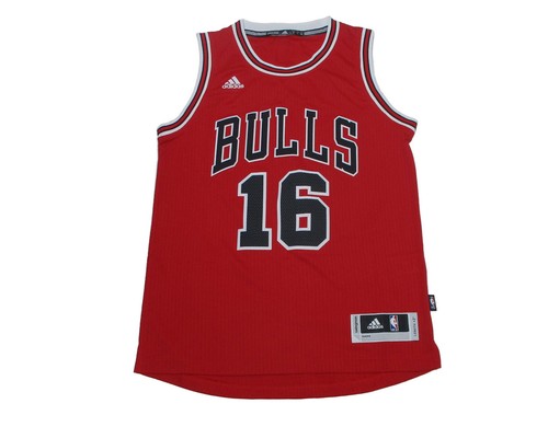 Chicago bulls nba swingman - chicago,