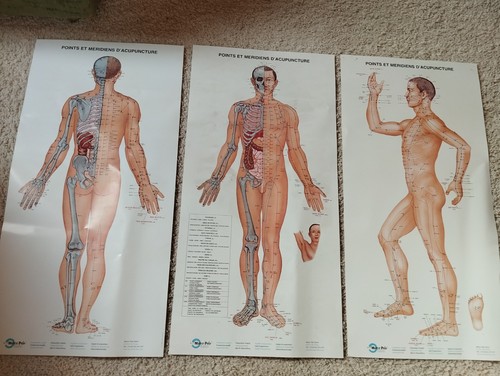 Akupunktur wandposter 80x40cm - akupunktur, 80x40cm/