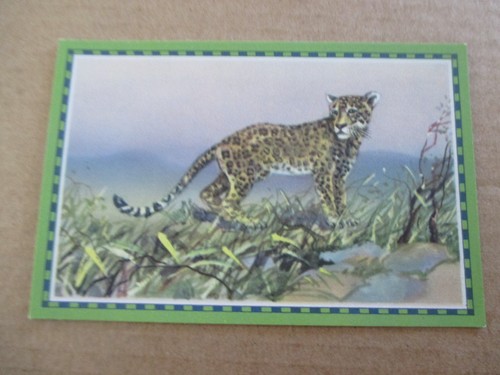 Bild chlorodont - 1,