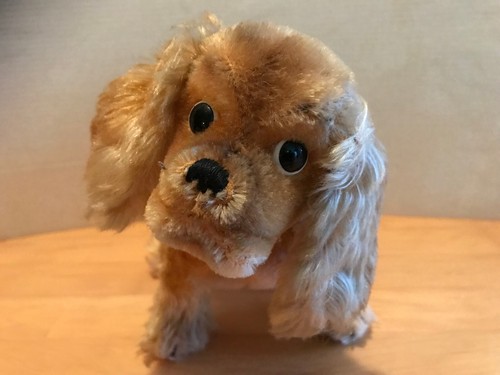 Steiff hund cockie 4273 knopf - 4273,