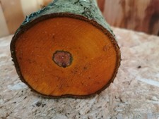 Pflaume Drechselholz 25×9 cm