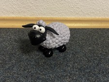 Schaf Molly klein stehend