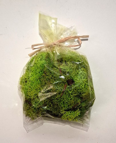 Islandmoos 50 gramm - #so,