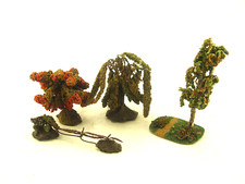 drei sehr alte Bäume von