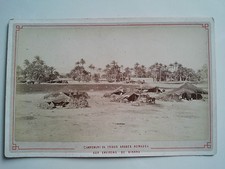 Original Foto Kabinett 19. Jh