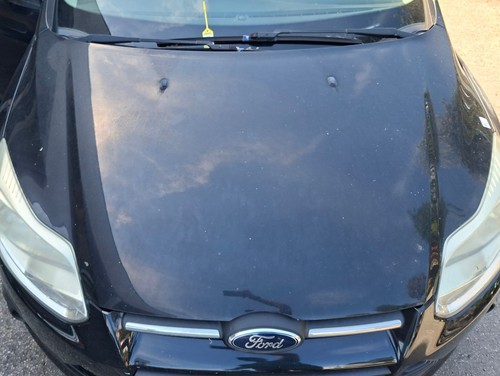 1797477 fronthaube ford focus - fronthaube,
