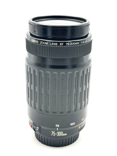 Canon 300mm 4 5 6 - canon, 75-300mm