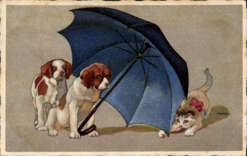 Künstler zwei hunde - künstler, und