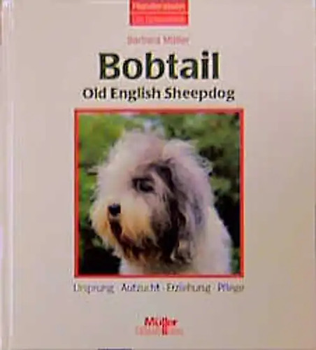 Bobtail old english sheepdog - old,