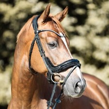 % Kavalkade Trense Ivella