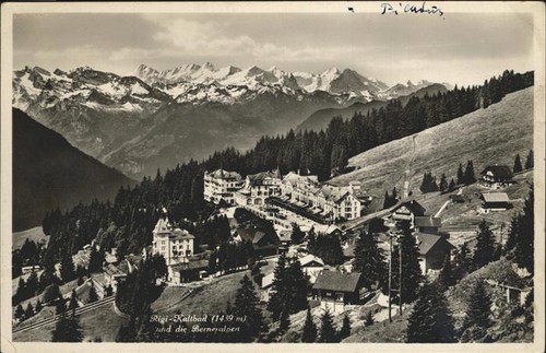 Rigi staffel hotel edelweiss - hotel,