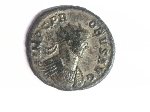 Probus antoninianus rom - probus,