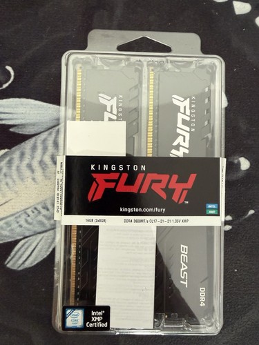 Kingston fury beast - beast, 16gb