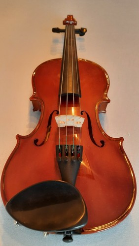 Schöne schüler geige violine - schöne,
