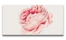 120x60cm Remaster Jacobus