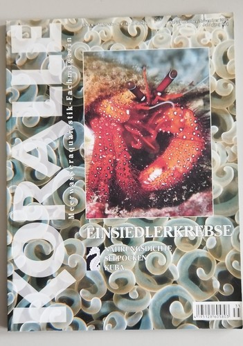 Koralle 35 - koralle, nr.