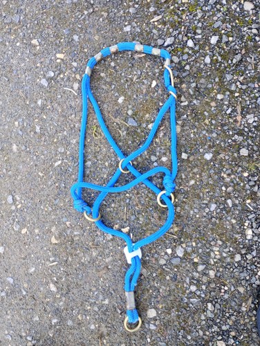 Halfter blau monty - 84, cm