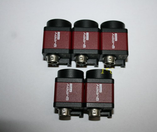1pc avt guppy gpf 503c - gpf-503c, irc