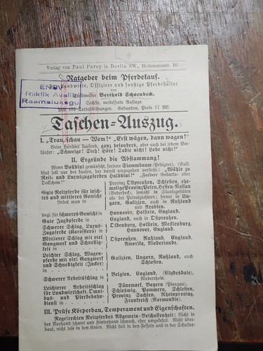 Ratgeber beim pferdekauf für - pferdekauf,